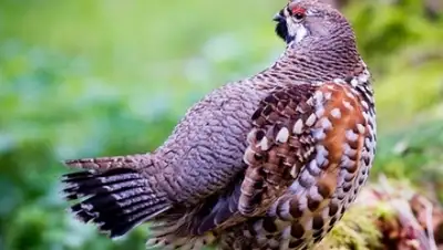 Zakon.kz, фото - Новости Zakon.kz от 12.05.2015 18:02