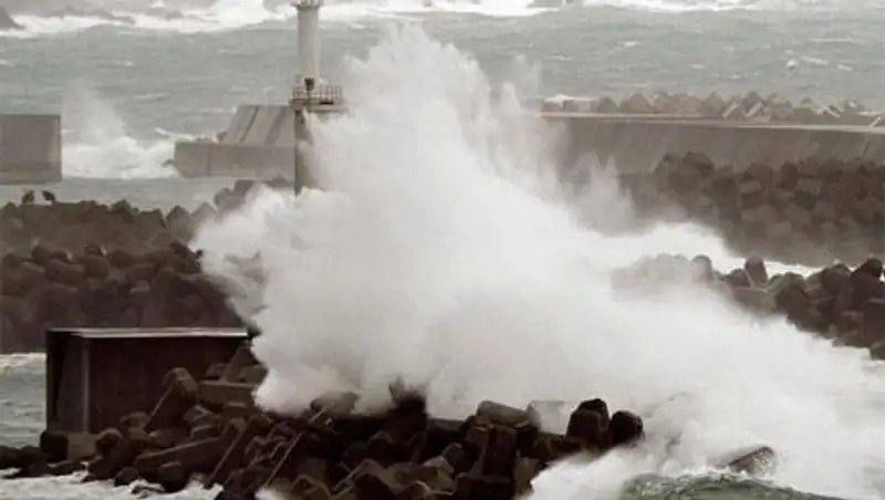 Тайфун "Вонфон" нарушил транспортное сообщение Японии и оставил без света 50 тысяч домов 
