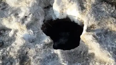 tomari.ru, фото - Новости Zakon.kz от 19.02.2020 12:30