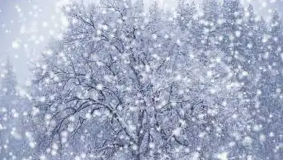 zakon.kz., фото - Новости Zakon.kz от 21.11.2020 06:01