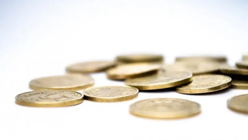 Уставной капитал НК "Kazakh Tourism" сформирован за счет витрин, панелей и фотоколлажа