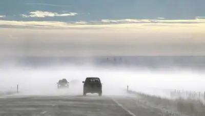 platon.asia, фото - Новости Zakon.kz от 24.02.2020 09:58