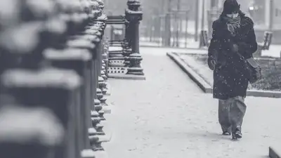 pixabay, фото - Новости Zakon.kz от 09.11.2021 23:07