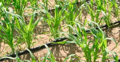 Zakon.kz, фото - Новости Zakon.kz от 26.02.2015 22:10