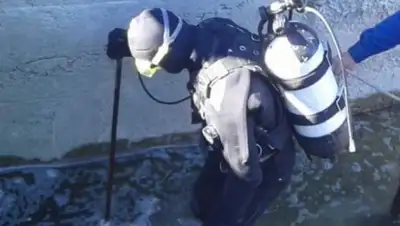 volontery_karagandy_rina.kz, фото - Новости Zakon.kz от 30.05.2019 12:31