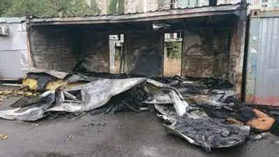 zakon.kz, фото - Новости Zakon.kz от 21.09.2018 17:07