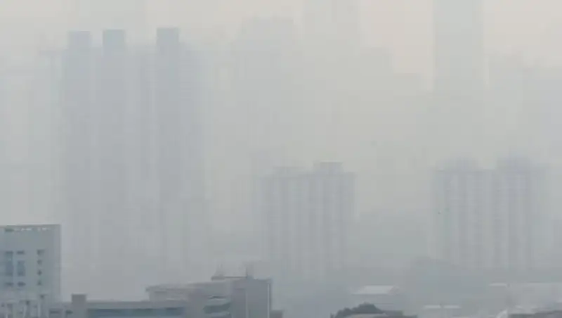 Ученые: загрязненный воздух может провоцировать развитие болезни Альцгеймера