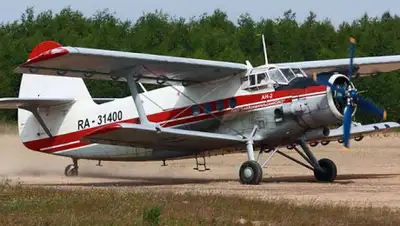 Airlines Inform, фото - Новости Zakon.kz от 20.06.2019 15:19