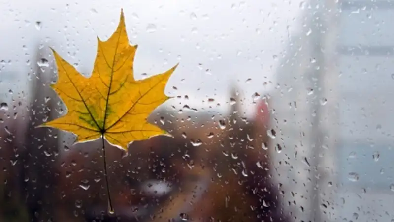 Понижение температуры на 10-15&#186; и дожди ожидаются в выходные дни на востоке и юге РК