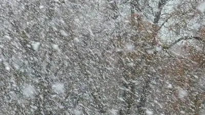 Pixabay, фото - Новости Zakon.kz от 22.11.2020 00:39