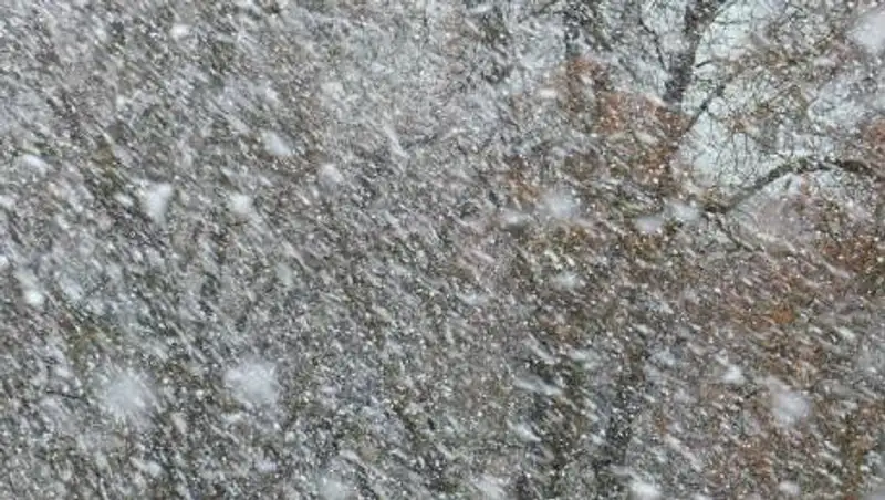 В трех регионах Казахстана ожидается сильный ветер