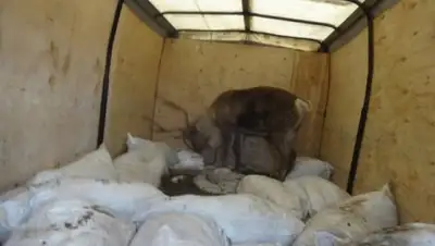 Zakon.kz, фото - Новости Zakon.kz от 11.11.2016 16:09