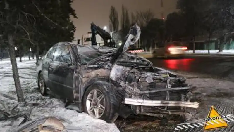 В Алматы Toyota потеряла управление и снесла ели