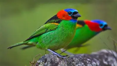 Zakon.kz, фото - Новости Zakon.kz от 21.09.2014 16:02