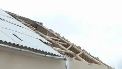 Zakon.kz, фото - Новости Zakon.kz от 07.03.2018 19:36