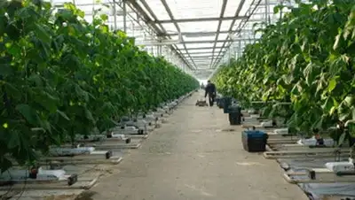 Zakon.kz, фото - Новости Zakon.kz от 06.03.2014 22:10