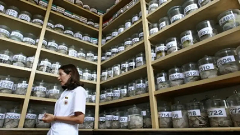 Из Техасского университета похитили 100 банок с человеческими мозгами