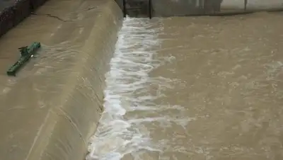 365info.kz, фото - Новости Zakon.kz от 01.03.2018 17:27