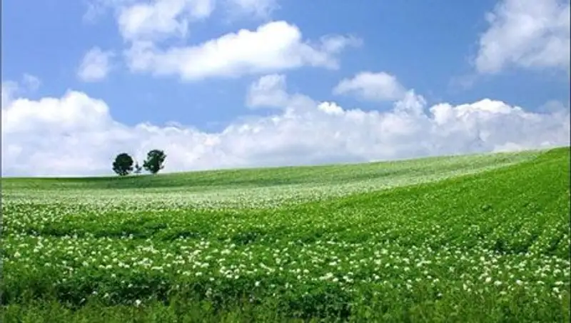 До 15% земель сельхозназначения используется нерационально в Казахстане