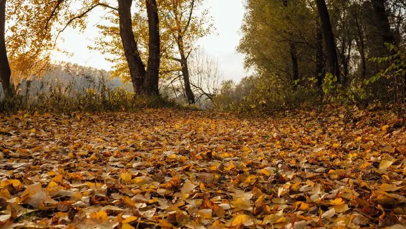 До 35 градусов жары ожидается в Казахстане