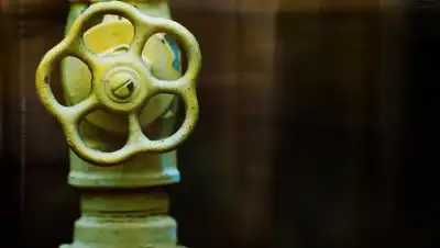 Pixabay, фото - Новости Zakon.kz от 09.11.2019 01:16