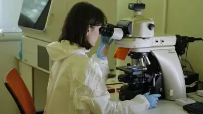 sputnikvaccine.com, фото - Новости Zakon.kz от 14.08.2021 15:32