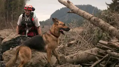 Zakon.kz, фото - Новости Zakon.kz от 09.04.2014 16:55