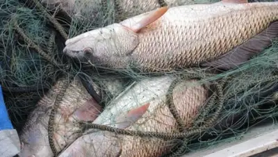 Zakon.kz, фото - Новости Zakon.kz от 08.12.2015 20:11