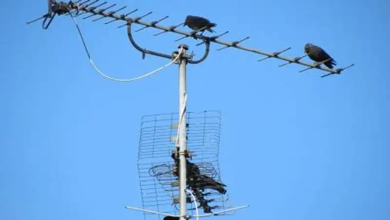 Как подключить одну антенну к двум телевизорам