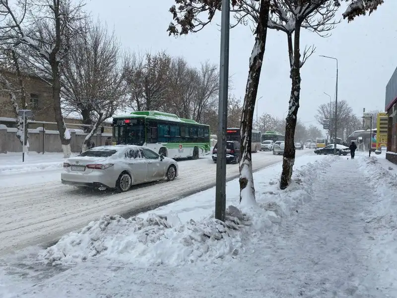 снег на дороге , фото - Новости Zakon.kz от 10.01.2023 15:56