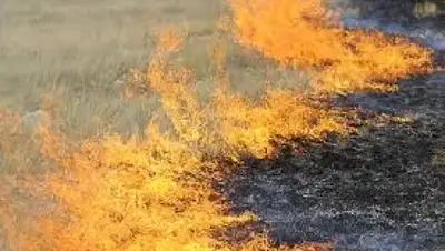 Zakon.kz, фото - Новости Zakon.kz от 10.07.2017 19:16