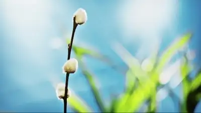 Zakon.kz, фото - Новости Zakon.kz от 08.04.2017 12:00