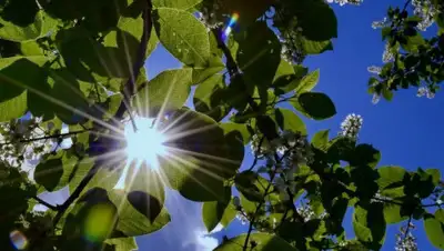 inalmaty, фото - Новости Zakon.kz от 30.05.2020 06:02