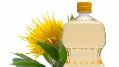 Zakon.kz, фото - Новости Zakon.kz от 18.05.2016 21:43