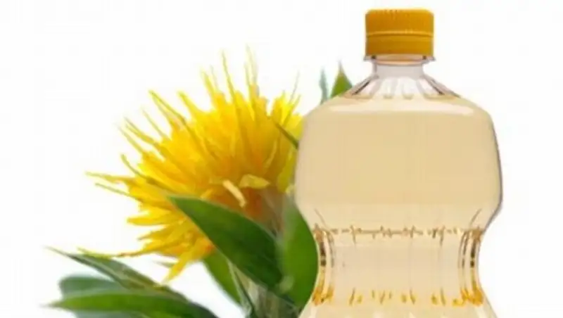 В Жамбылской области сафлоровое масло экспортируют в Голландию и Бельгию