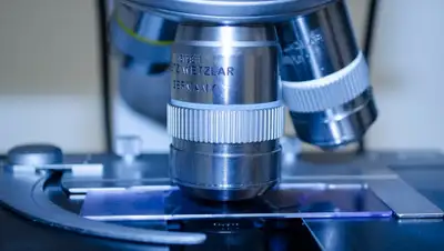 Pixabay, фото - Новости Zakon.kz от 30.03.2020 22:10