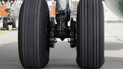 Pixabay, фото - Новости Zakon.kz от 10.11.2019 18:10