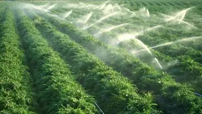 Zakon.kz, фото - Новости Zakon.kz от 08.07.2016 22:37