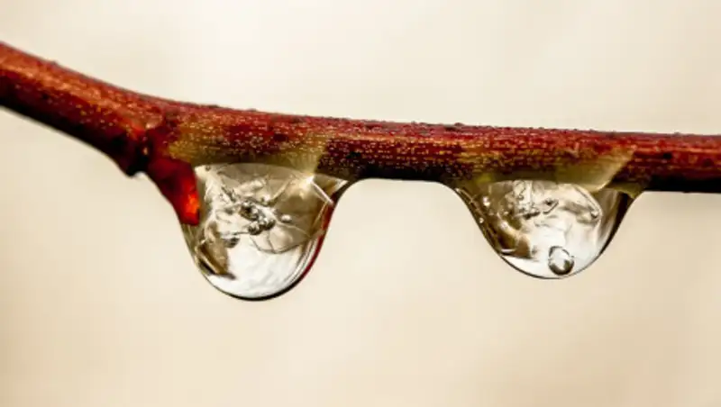 Непогода сохранится в большинстве регионов страны 4 апреля