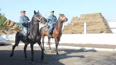 Zakon.kz, фото - Новости Zakon.kz от 22.04.2016 20:07