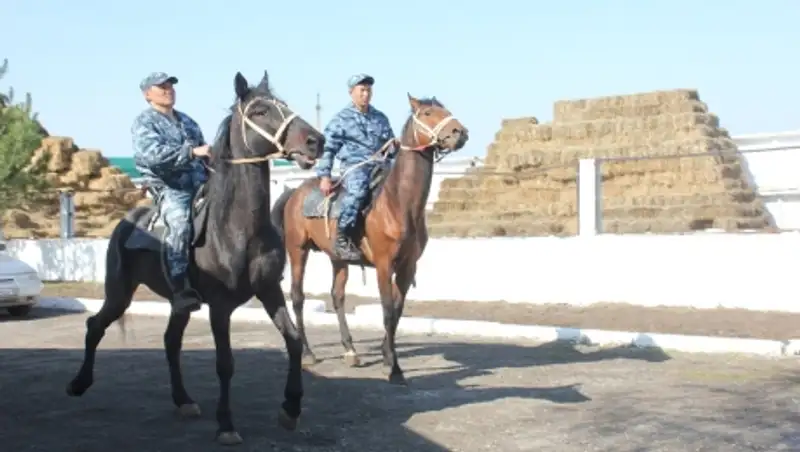 В Костанае с 23 апреля начнут нести службу полицейские-кавалеристы