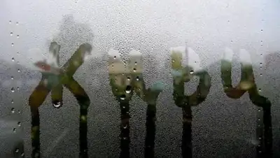 Zakon.kz, фото - Новости Zakon.kz от 09.02.2017 04:49