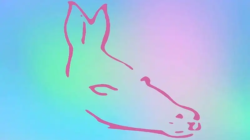 Очередная иллюзия озадачила пользователей соцсети