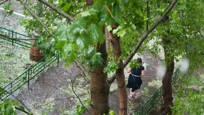 РИА Новости, фото - Новости Zakon.kz от 21.04.2018 22:16