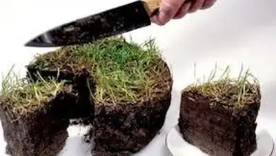 Zakon.kz, фото - Новости Zakon.kz от 11.11.2013 16:38