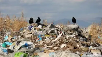 Zakon.kz, фото - Новости Zakon.kz от 26.04.2017 13:14