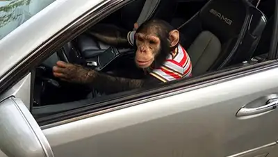 Zakon.kz, фото - Новости Zakon.kz от 10.03.2016 00:26