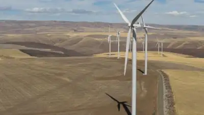 yvision.kz, фото - Новости Zakon.kz от 20.03.2018 12:34