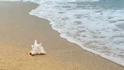 pixabay.com, фото - Новости Zakon.kz от 24.07.2021 20:35