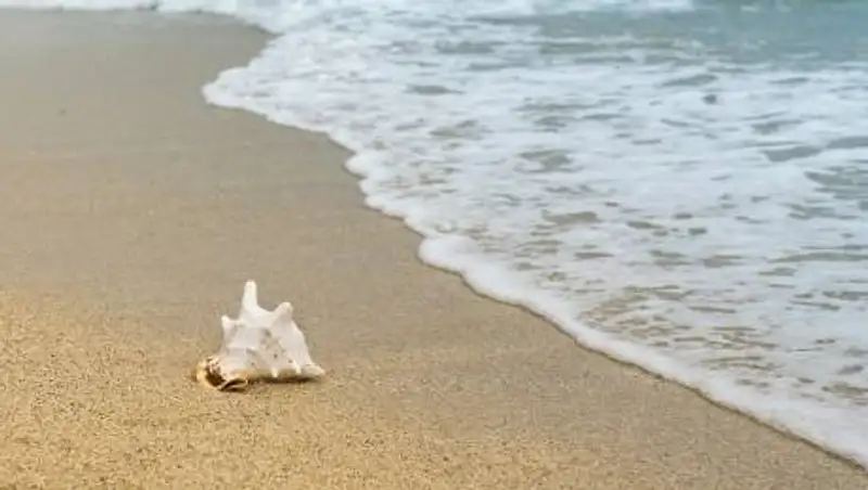 Аквапарки и пляжи закрыли на выходные в Шымкенте